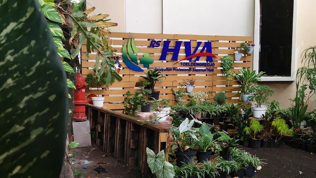 Healing Garden