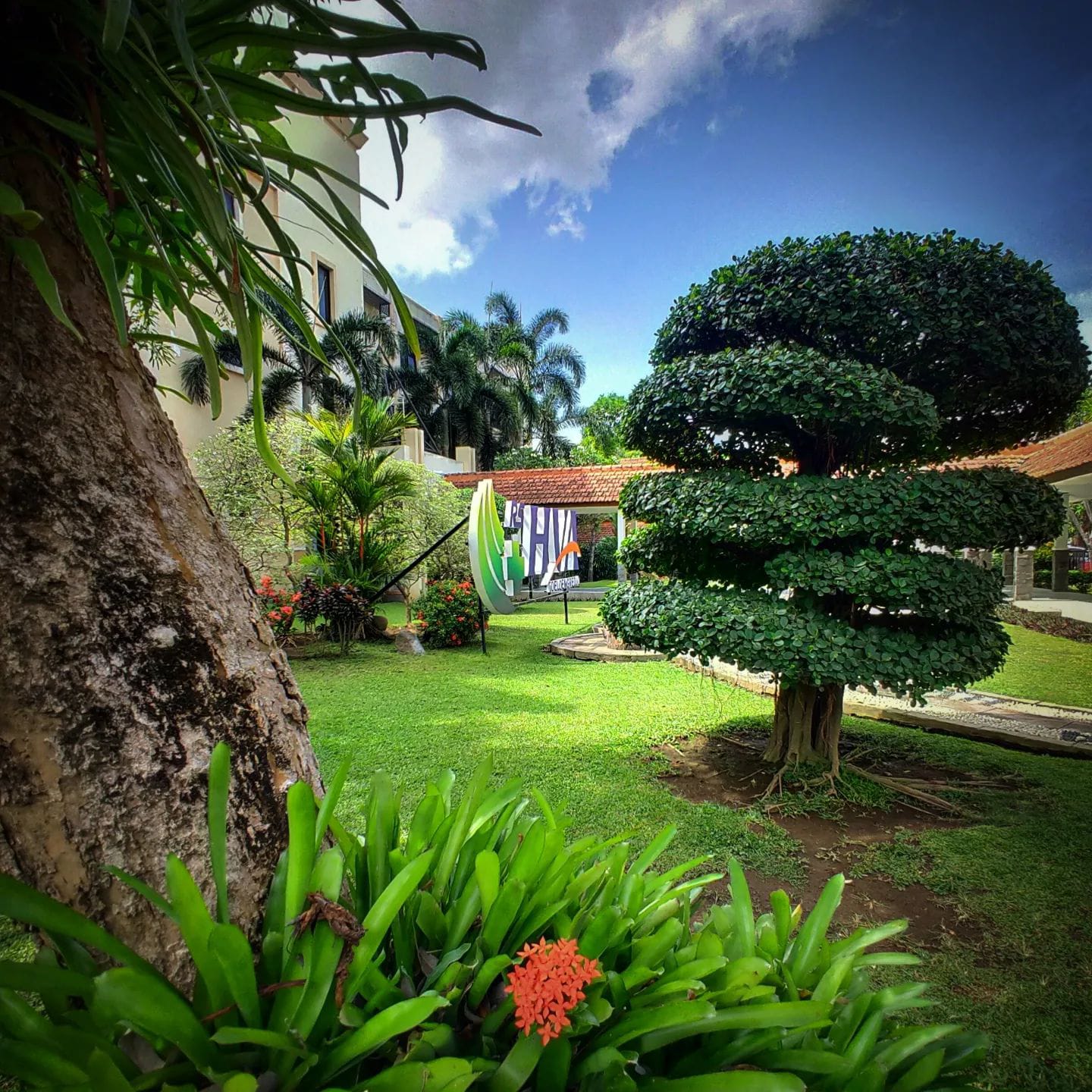 Healing Garden